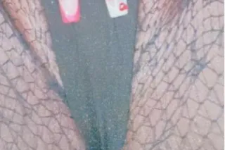 Creamyyyyy Candyyyyy Saturday Super Soaker BBW 💦😻😻 Incalls Onlyyy - Image 3