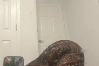 LeT ME DraIN uR PipES💦 𝒞𝓊𝓂 & 𝒫𝓁𝒶𝓎 💦👅❄ CREAMY FANTASY🍼SEXY TREAT🍭 ✅🏆 - Image 2